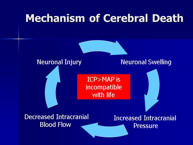 Mechanism of Cerebral Death Increased Intracranial   Pressure ICP>MAP is incompatible with life